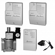 Комплект на метан и угарный газ RGD-CH4+CO-R-DN20